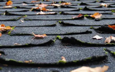 5 Essentials of Yearly Roof Maintenance