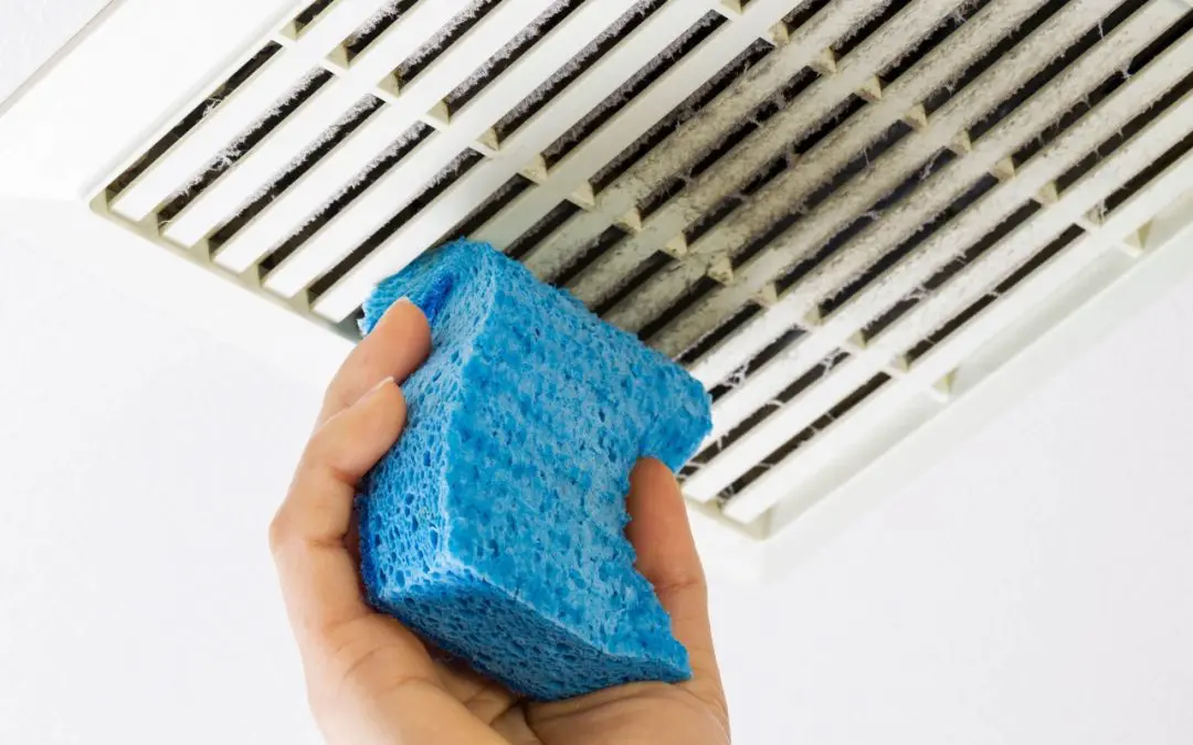 Allergy-Proofing Your Home: Breathe Easier Year-Round