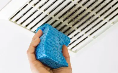 Allergy-Proofing Your Home: Breathe Easier Year-Round