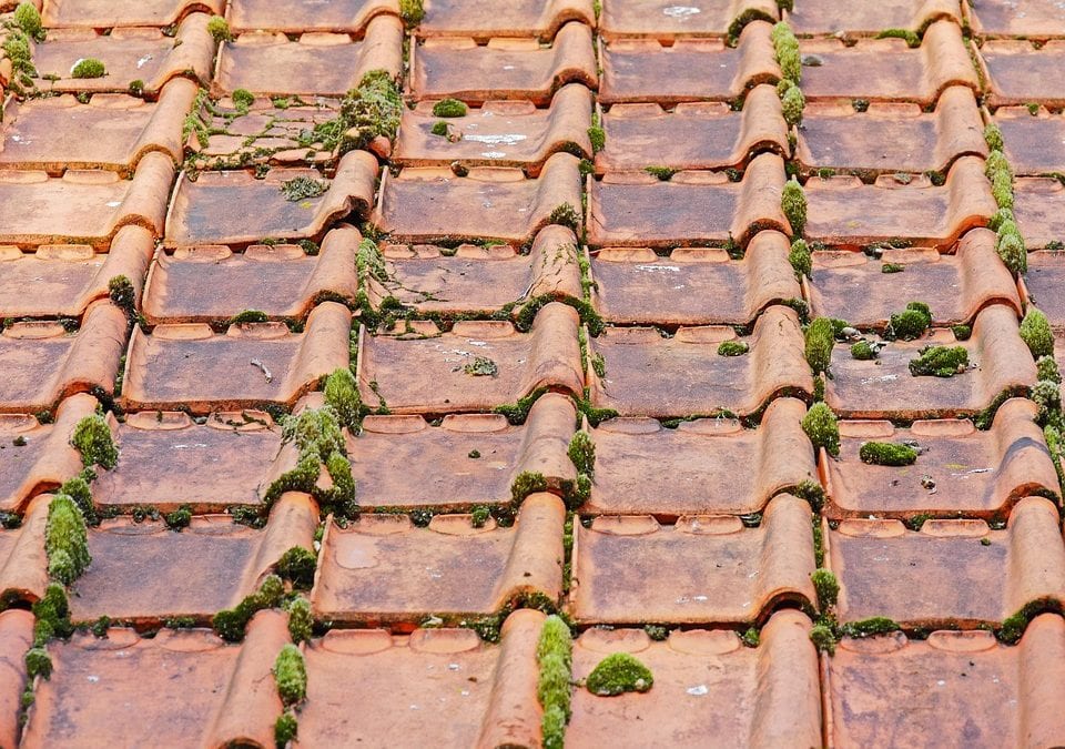 Top 7 Signs You Need to Replace Your Roof