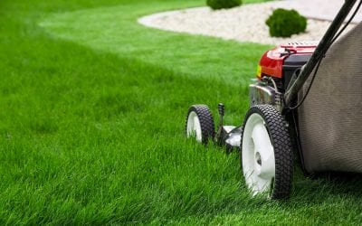 4 Tips to Keep Your Lawn Healthy During the Summer