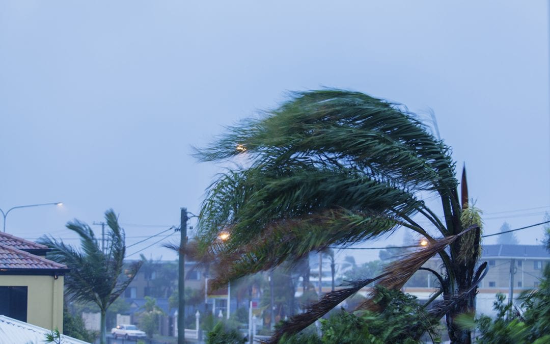 6 Ways To Prevent Wind Damage to Your Home
