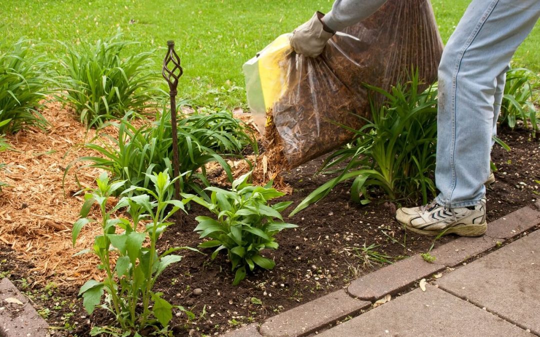 home improvement ideas include mulching your garden beds