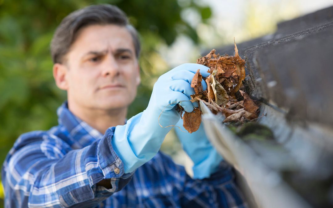 5 Tips to Help Your Clean Your Gutters